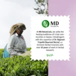 Liver Detox Tea - Image 5